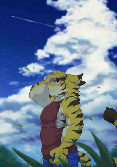 夏の事情